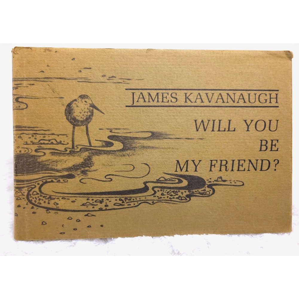 1st Edition, 2nd Print 1971 - James Kavanaugh - Will You Be My Friend? - HC/DJ